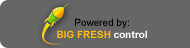 Big Fresh